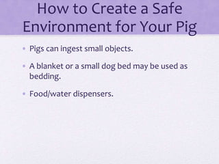How to Create a Safe 
Environment for Your Pig 
• Pigs can ingest small objects. 
• A blanket or a small dog bed may be used as 
bedding. 
• Food/water dispensers. 
 