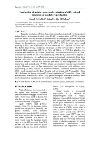 Egyptian J. Virol, Vol. 11 (2): 46-57, 2014 
 
Eradication of potato viruses and evaluation of different soil
mixtures on minitubers production
Samah A. Mokbel1
, Ashraf A. Abd El-Mohsen2
1
Tissue Culture Lab., Virus and Phytoplasma Research Department, Plant Pathology Research Institute,
Agricultural Research Center (ARC), Egypt.
2
Agronomy Department, Faculty of Agriculture, Cairo University, Giza, Egypt.
ABSTRACT 
Recently production of virus-free potato minitubers is critical. For this purpose,
infected tubers with potato leafroll virus (PLRV) or potato virus x (PVX) from two
cultivars Spunta or Lady Rosette as demonstrated by serological detection were used
as a source for virus-free minitubers production. This achived by subjecting tubers
directly to thermotherapy treatment at 36ºC, 37ºC or 38ºC for three weeks which
resulting in 50%, 70% or 80% of PLRV-free tubers and 0%, 16.6% or 33.3% of PVX-
free tubers respectively. Moreover, no effects on the survival rate of tubers was
detected. High percentage (93.1% or 76%) of PLRV- or PVX-free plantlets was
achieved with meristem tip excision (0.1-0.2mm) from thermo-treated tubers at (38ºC)
with survival rate 96.6% or 83.3% respectively. DAS-ELISA method was applied to
the tubers directly, in vitro cultures and young acclimatized plantlets to detect these
viruses. After direct transplant of in vitro virus-free plantlets in greenhouse. The
statistical analysis showed that cultivars and ratio of bed components and their
interaction had insignificant (P>0.05) effects on minituber number and minituber
weight. However, ratio of bed components and interaction with cultivars were
significantly (P<0.05) affected on minituber diameter. Maximum minituber diameter
(13.64 mm) was recorded for Lady Rosette cultivar treated with Vermiculite + Sand
(4:1), followed by Spunta cultivar (13.53 mm) applied with Vermiculite + Sand (4:1).
Pots received Vermiculite + Sand (4:1), produced highest minituber diameter, while
the least minituber was recorded for pots having Peat moss + Sand (4:1).
Key Words: Potato, PLRV, PVX, thermotherapy, meristem culture, minitubers, soil mixture.
INTRODUCTION
Potato (Solanum tuberosum L.) is
the second most important vegetable
crop after tomato in Egypt, Potato is not
only a basic food need in Egypt, but
also has an enormous impact on the
economic situation of Egyptian.
Egypt imports seed potatoes
directly from EU to increase potato
production and produces basically two
potato markets, small beautiful
potatoes for export to the EU countries
and larger potatoes for the local market
and other countries like Russia. In
most recent years the Egyptian potato
exports to the EU increased from 70%
to 90% and the total value of potato
exports to the EU was about 63 million
Euros. (EU delegation to Egypt,
2010).
Since potato is propagated
vegetatively, it is exposed to
phytopathogens such as fungus,
bacteria, viruses, phytoplasmas, viroids
and nematodes more often resulting
severe yield reduction in the infected
plantations. In Egypt, six viruses,
potato virus x (PVX), potato virus y
(PVY), potato leafroll virus (PLRV),
potato yellow dwarf virus (PYDV),
tobacco rattle virus (TRV) and mop
top virus (MTV) are of primary
concern and have received attention in
potato production programs or import
phytosanitary requirements and
specification for importation of seed
 