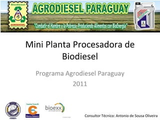 Mini Planta Procesadora de Biodiesel Programa Agrodiesel Paraguay 2011 Consultor Técnico: Antonio de Sousa Oliveira 