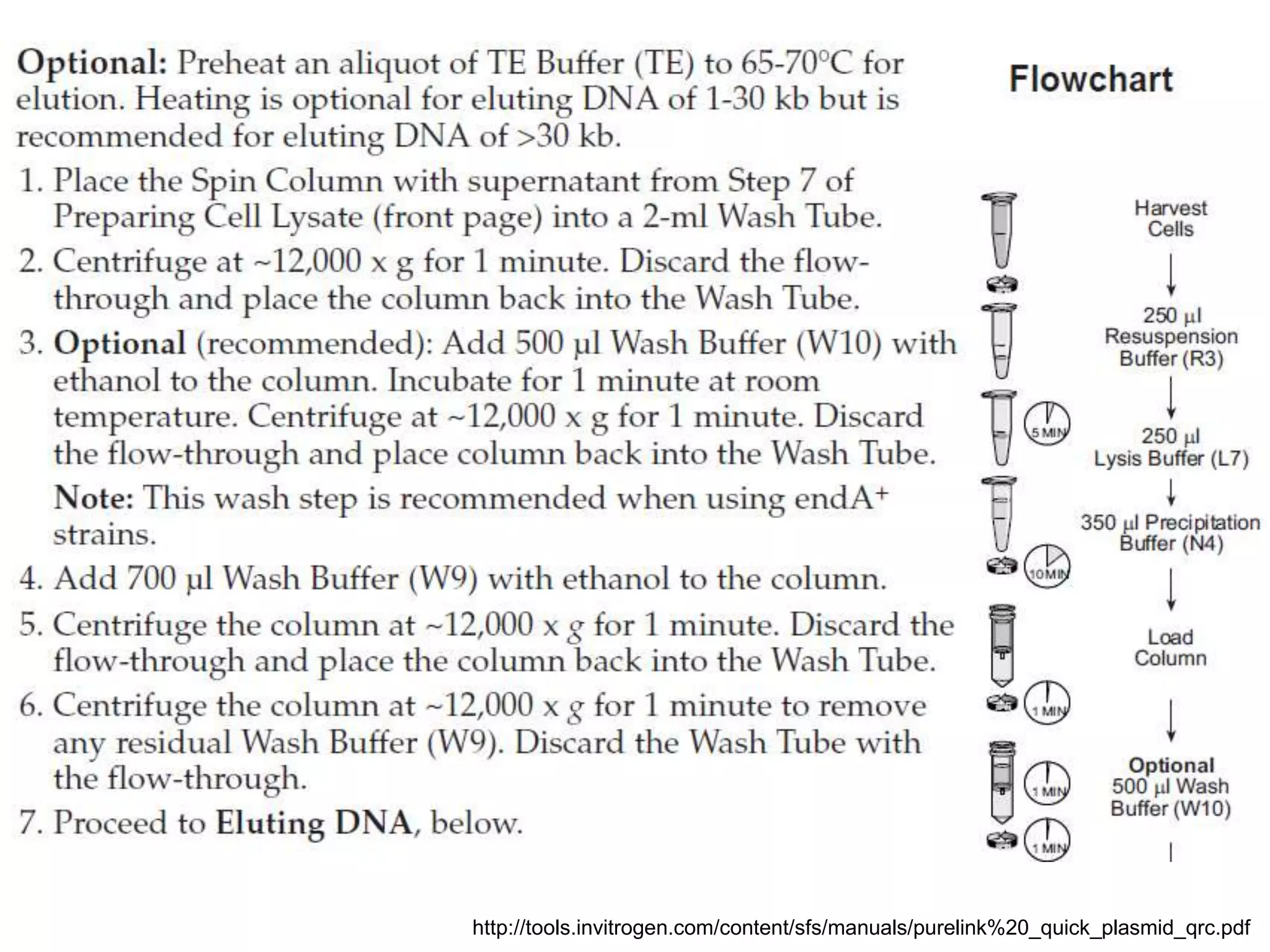 http://tools.invitrogen.com/content/sfs/manuals/purelink%20_quick_plasmid_qrc.pdf 
 