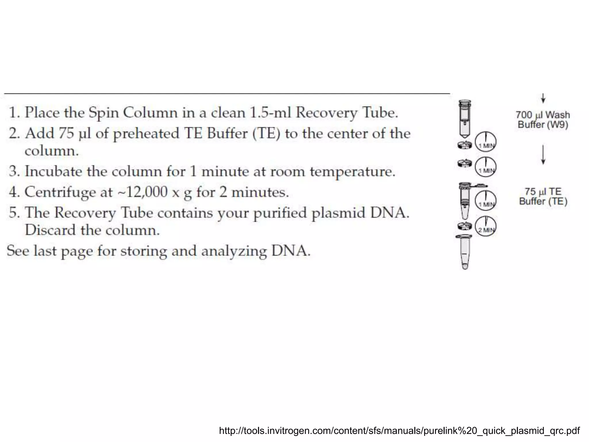 http://tools.invitrogen.com/content/sfs/manuals/purelink%20_quick_plasmid_qrc.pdf 
 