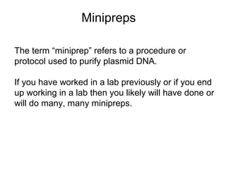 Minipreps 
The term “miniprep” refers to a procedure or 
protocol used to purify plasmid DNA. 
If you have worked in a lab previously or if you end 
up working in a lab then you likely will have done or 
will do many, many minipreps. 
 