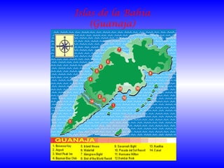 Islas de la Bahía (Guanaja) 