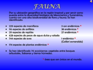 Por su ubicación geográfica en la región tropical y por servir como puente entre la diversidad biológica de Mesomerica y Suramérica, cuenta con una alta biodiversidad de flora y fauna; Se han identificado: 229 especies de mamíferos  3 son endémicas  * 116 especies de anfibios 38 endémicas  * 211 especies de reptiles 27 endémicas  * 628 especies de peces de agua dulce y salada 744 especies de aves 1 endémico  *   (Colibrí esmeralda) 174 especies de plantas endémicas  * Se han identificado 70 ecosistemas vegetales entre bosques arbustales, Sabanas y tierras húmedas. *  ósea que son únicos en el mundo.  FAUNA 