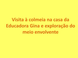 Visita à colmeia na casa da
Educadora Gina e exploração do
meio envolvente