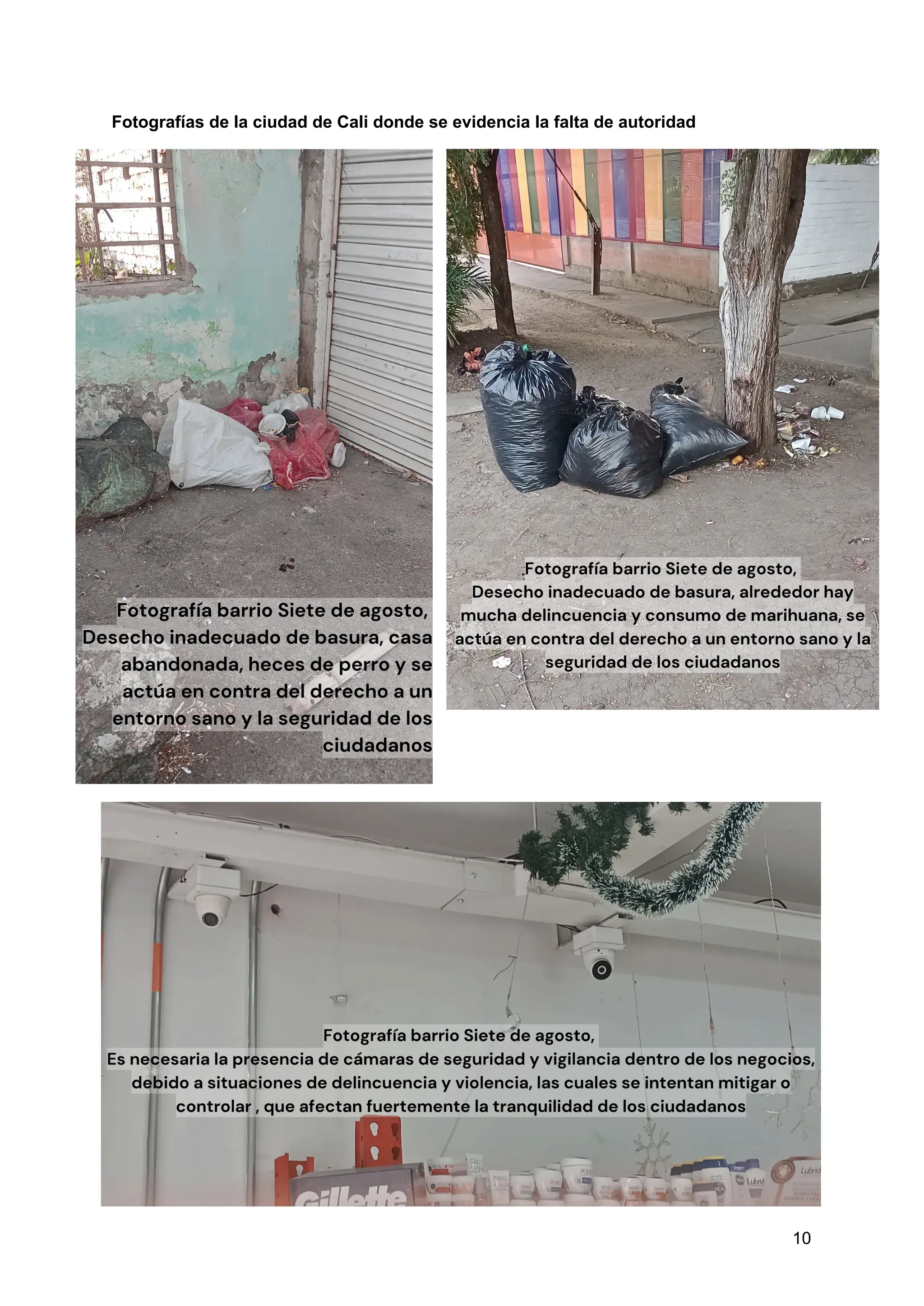 Fotografías de la ciudad de Cali donde se evidencia la falta de autoridad
10
 