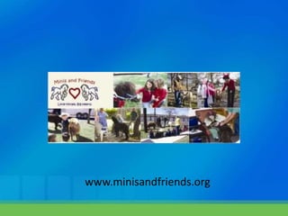 www.minisandfriends.org 