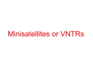 Minisatellites or VNTRs
 