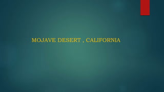 MOJAVE DESERT , CALIFORNIA
 