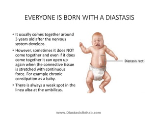 7 Myths about Diastasis Recti — OUR FIT FAMILY LIFE