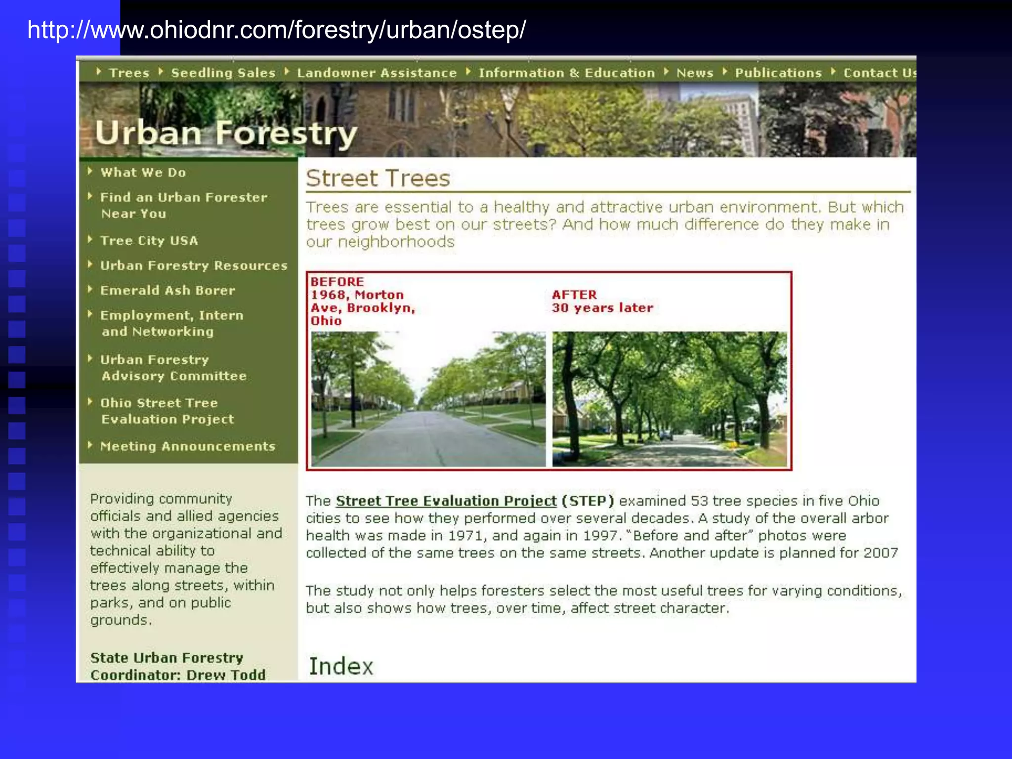 http://www.ohiodnr.com/forestry/urban/ostep/