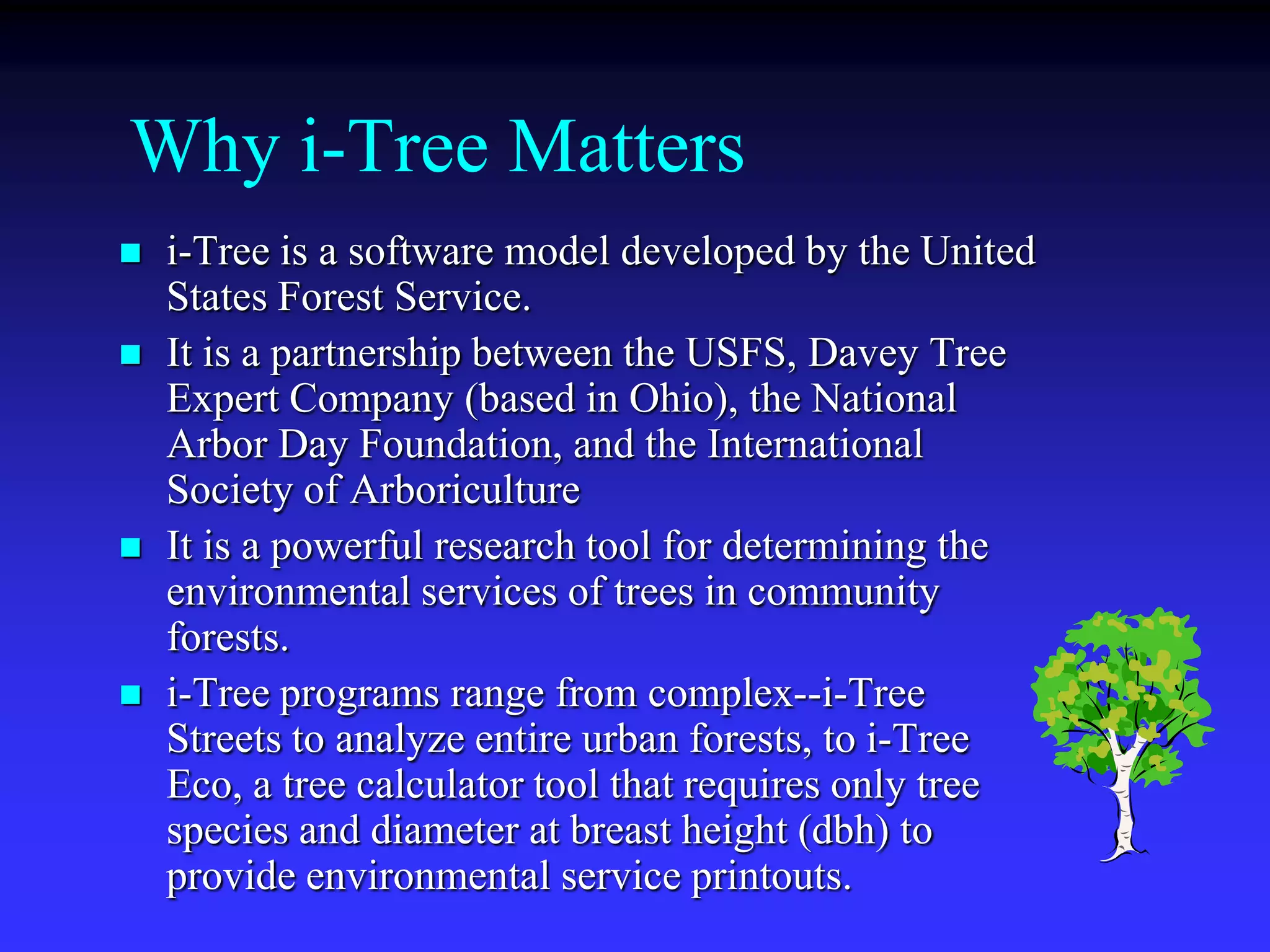 Storm Water Remediation