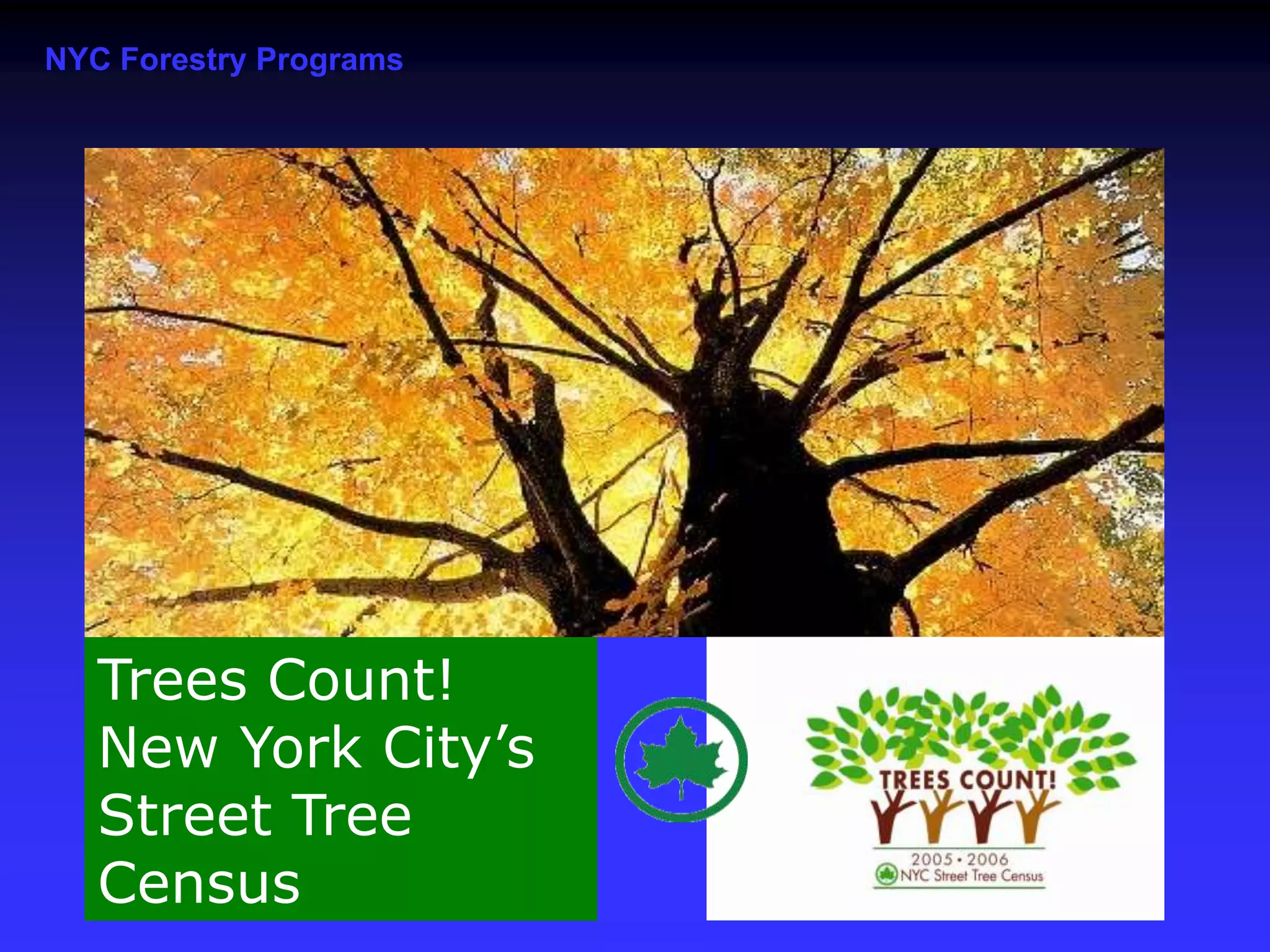i-Tree: Demonstrating That Trees Pay Us Back!Street Tree Benefits in Minneapolis:$6.8 million in energy savings