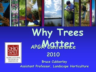 Why Trees Matter APGA Conference 2010 Bruce Cubberley Assistant Professor, Landscape Horticulture 