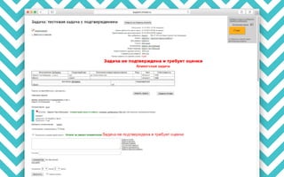 RIW 2014 - Поддержка сайтов, Минисол