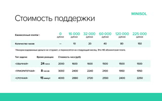 RIW 2014 - Поддержка сайтов, Минисол