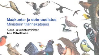 Maakunta- ja sote-uudistus
Ministerin tilannekatsaus
Kunta- ja uudistusministeri
Anu Vehviläinen
 