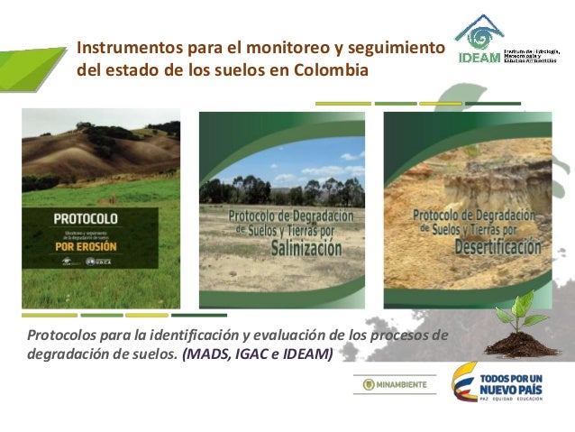 Es legal el forex en colombia