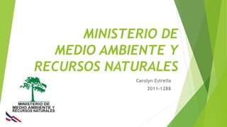 MINISTERIO DE
MEDIO AMBIENTE Y
RECURSOS NATURALES
Carolyn Estrella
2011-1288
 