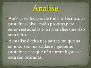 tecnica Western blot