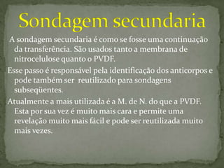 tecnica Western blot