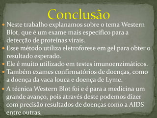 tecnica Western blot