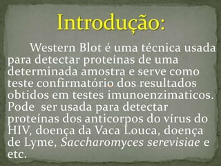 tecnica Western blot