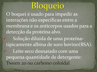 tecnica Western blot