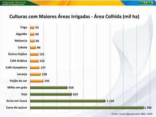 Culturas com Maiores Áreas Irrigadas - Área Colhida (mil ha) Fonte: Censo Agropecuário IBGE, 2006 