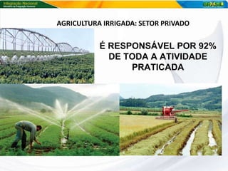 AGRICULTURA IRRIGADA: SETOR PRIVADO É RESPONSÁVEL POR 92% DE TODA A ATIVIDADE PRATICADA 