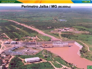 Perímetro Jaíba / MG  (66.000ha) 