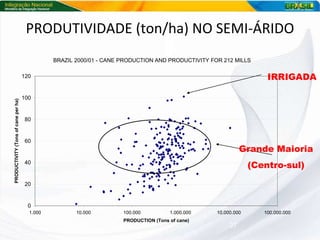 PRODUTIVIDADE (ton/ha) NO SEMI-ÁRIDO IRRIGADA Grande Maioria (Centro-sul) 