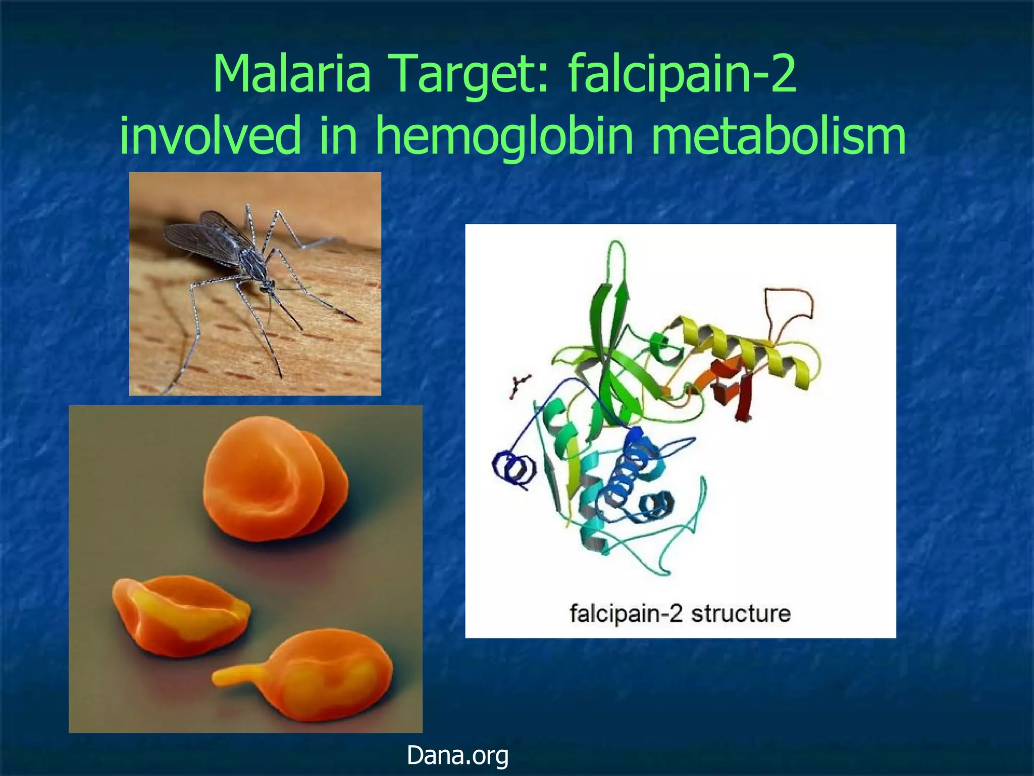 Malaria Target: falcipain-2  involved in hemoglobin metabolism Dana.org 