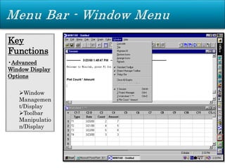 Key
Functions
•Advanced
Window Display
Options
Window
Managemen
t/Display
Toolbar
Manipulatio
n/Display
 
