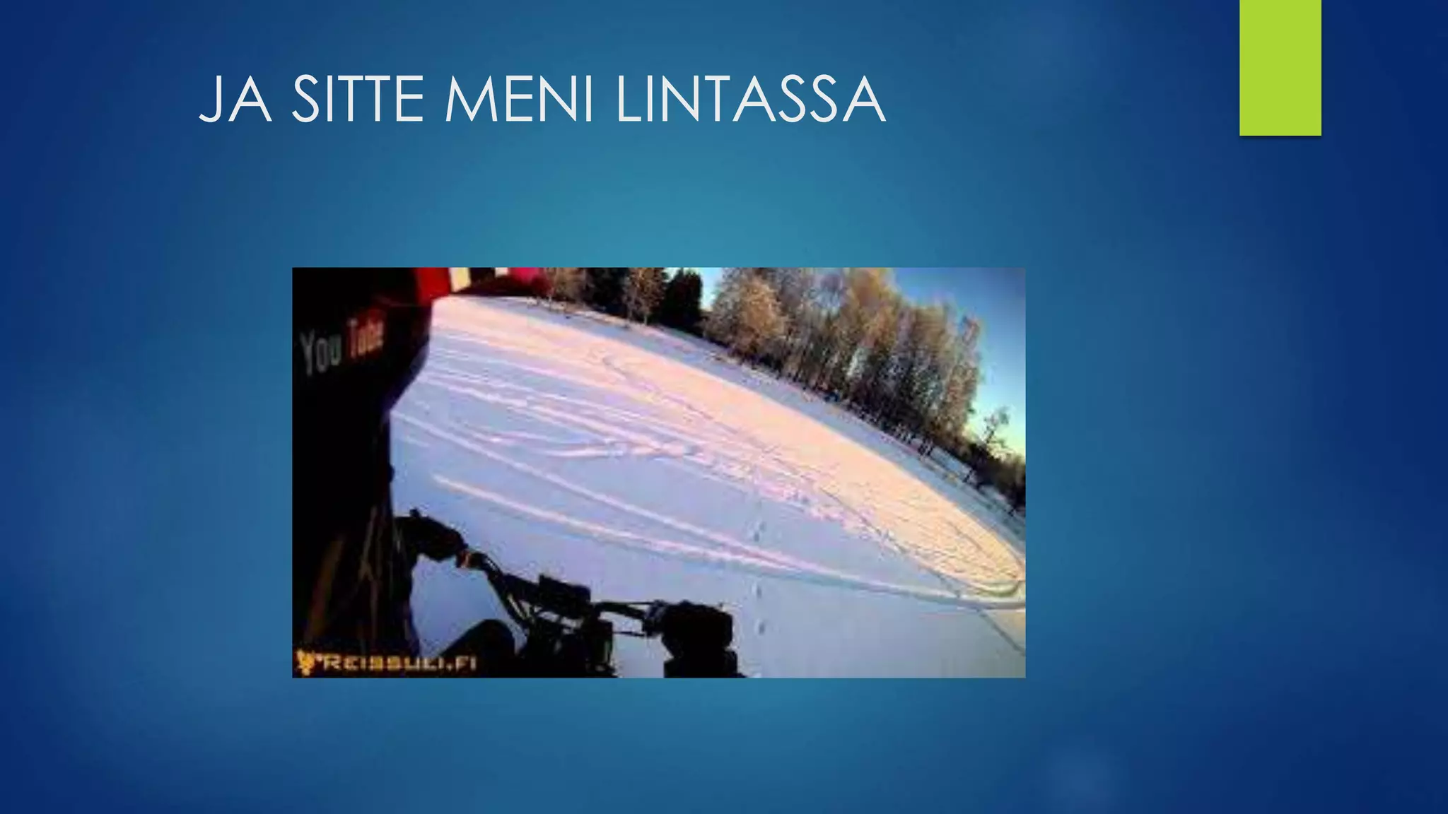 JA SITTE MENI LINTASSA
 