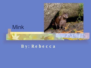 Mink By: Rebecca 