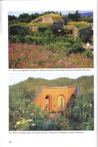 Telhados Verdes - Gernot Minke 