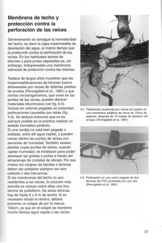 Telhados Verdes - Gernot Minke 