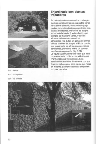 Telhados Verdes - Gernot Minke 