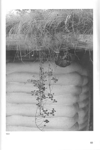 Telhados Verdes - Gernot Minke 