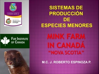 SISTEMAS DE
PRODUCCIÓN
DE
ESPECIES MENORES
M.C. J. ROBERTO ESPINOZA P.
 