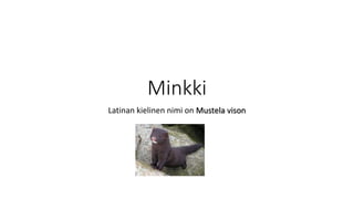 Minkki
Latinan kielinen nimi on Mustela vison
 