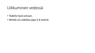 Liikkuminen vedessä
• Todella hyvä uimaan.
• Minkki voi sukeltaa jopa 5-6 metriä.
 