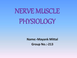 NERVE MUSCLE
PHYSIOLOGY
Name:-Mayank Mittal
Group No.:-213
 