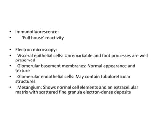 Immunofluorescence:  'Full house' reactivity  Electron microscopy:  Visceral epithelial cells: Unremarkable and foot processes are well preserved Glomerular basement membranes: Normal appearance and texture Glomerular endothelial cells: May contain tubuloreticular structures Mesangium: Shows normal cell elements and an extracellular matrix with scattered fine granula electron-dense deposits  