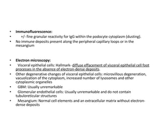 Immunofluorescence:  +/- fine granular reactivity for IgG within the podocyte cytoplasm (dusting).  No immune deposits present along the peripheral capillary loops or in the mesangium Electron microscopy:   Visceral epithelial cells: Hallmark-  diffuse effacement of visceral epithelial cell foot processes in the absence of electron-dense deposits .  Other degenerative changes of visceral epithelial cells: microvillous degeneration, vacuolization of the cytoplasm, increased number of lysosomes and other cytoplasmic organelles GBM: Usually unremarkable Glomerular endothelial cells: Usually unremarkable and do not contain tubuloreticular structures Mesangium: Normal cell elements and an extracellular matrix without electron-dense deposits  