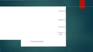 laximizer
linhuizer
laxin1izer
Tern1inal
node
Terminal value
 