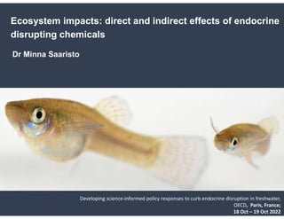 OFFICIAL
Ecosystem impacts: direct and indirect effects of endocrine
disrupting chemicals
Dr Minna Saaristo
Developing science-informed policy responses to curb endocrine disruption in freshwater,
OECD, Paris, France;
18 Oct – 19 Oct 2022
 