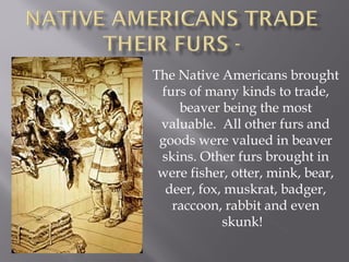 The Native Americans brought
furs of many kinds to trade,
beaver being the most
valuable. All other furs and
goods were valued in beaver
skins. Other furs brought in
were fisher, otter, mink, bear,
deer, fox, muskrat, badger,
raccoon, rabbit and even
skunk!

 