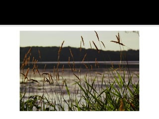 Minnesota’S Finest